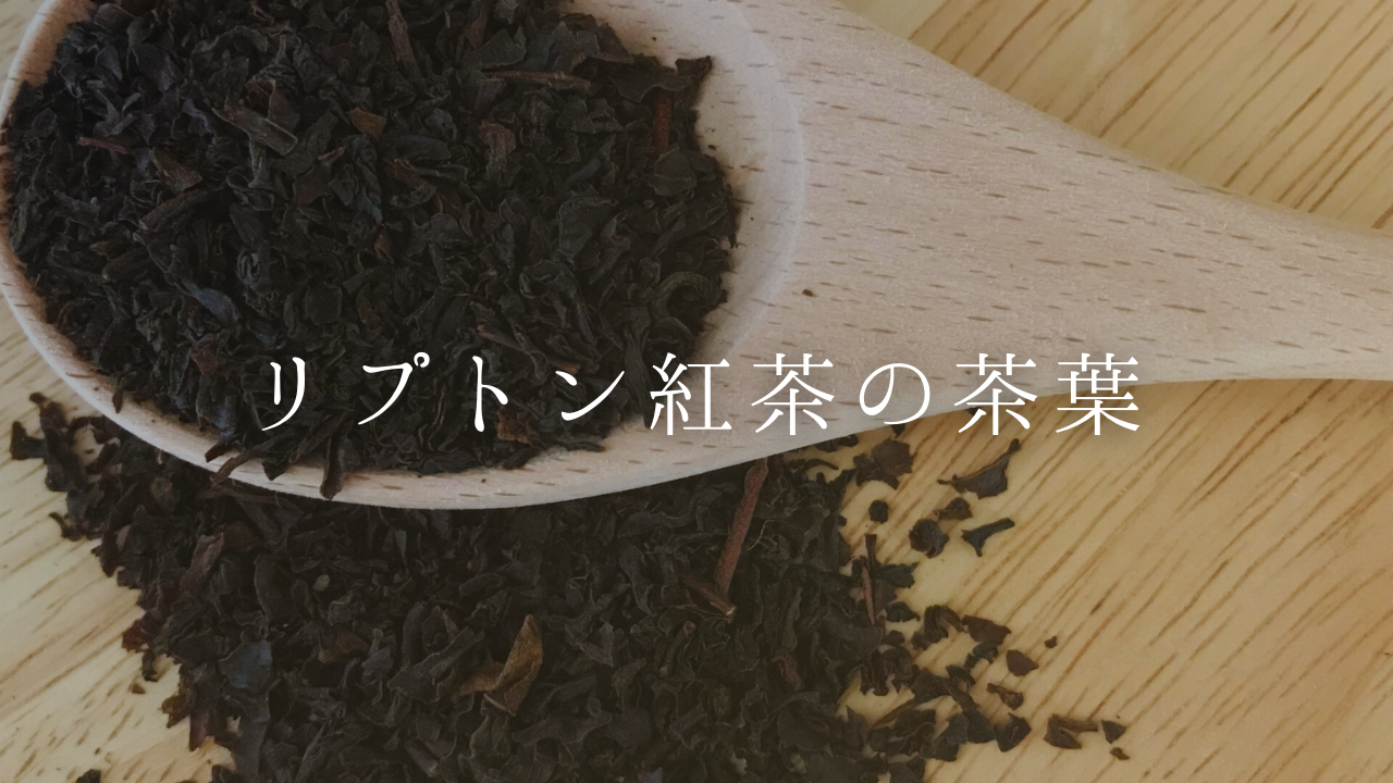 【リプトン紅茶の茶葉】種類や売り場、おいしいい淹れ方などを紹介