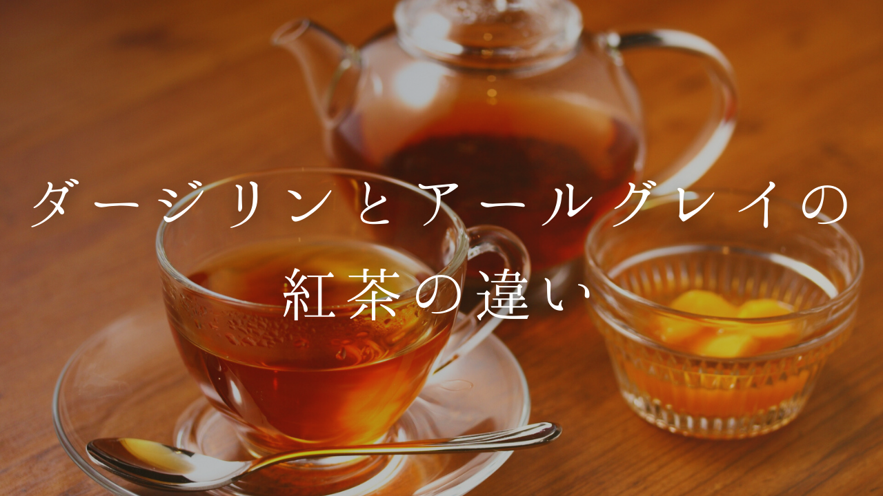 【紅茶の違い】ダージリンとアールグレイの違いについて解説